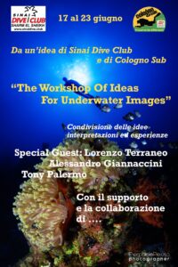 Settimana fotosub Sharm